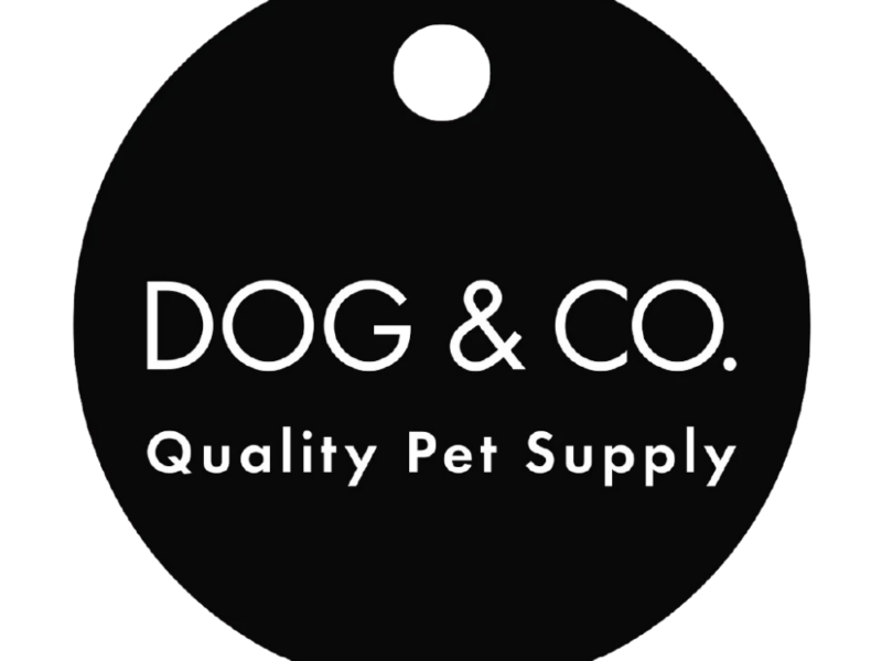 Check Out dog shows https://competes.tv/wp-content/uploads/2023/07/dog-sports-competitions-canine-events-agility-trials-obedience-training-dog-shows-dog-sports-0765af60.png