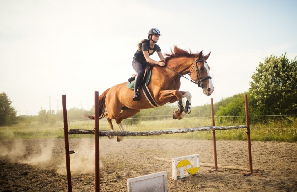 Experience The Equestrian Events