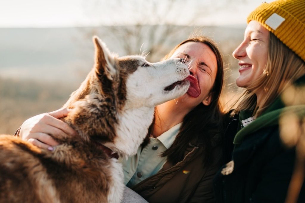 Discover The Pet Talent Shows