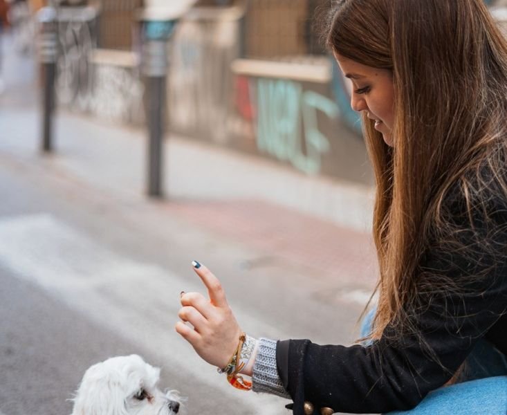 View diversity of animal competitions https://competes.tv/wp-content/uploads/2023/08/animal-competitions-pet-tricks-top-tier-of-pet-talent-animal-training-animal-competitions-history-diversity-of-animal-competitions-future-of-animal-competitions-animal-enthusiasts-Animal-Competitions-7322c18a.jpg