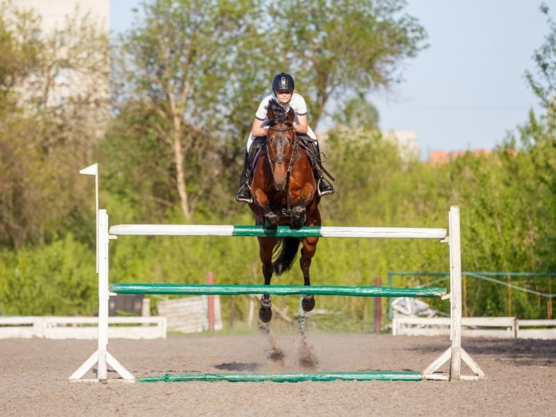 A Photo of equestrian events https://competes.tv/wp-content/uploads/2023/08/endurance-riding-competitions-notable-accomplishments-equestrian-events-horse-shows-show-jumping-dressage-competitions-eventing-competitions-equestrians-Equestrian-Competitions-596ced21.jpg