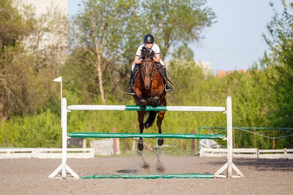 Experience The Equestrian Events