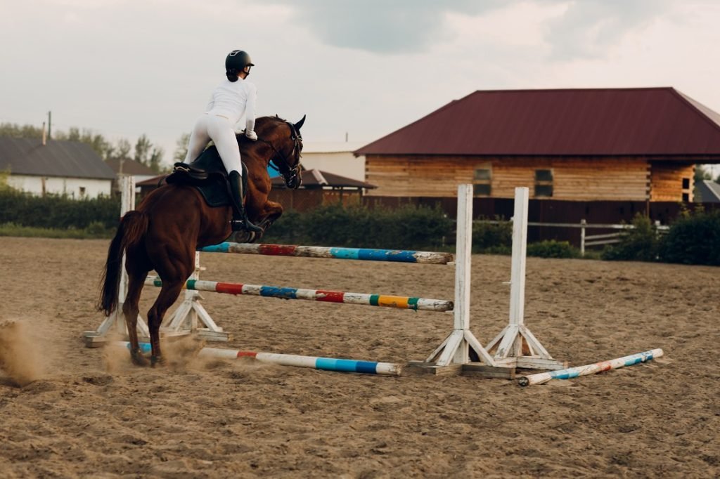 Explore The Show Jumping