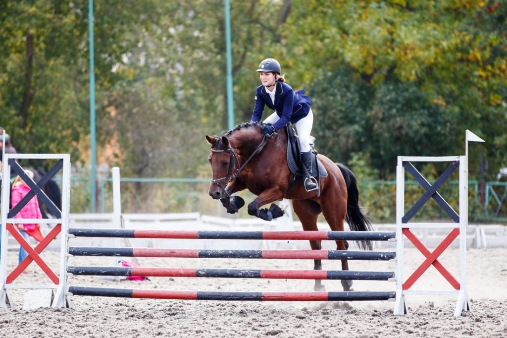 Explore The Equestrian Events