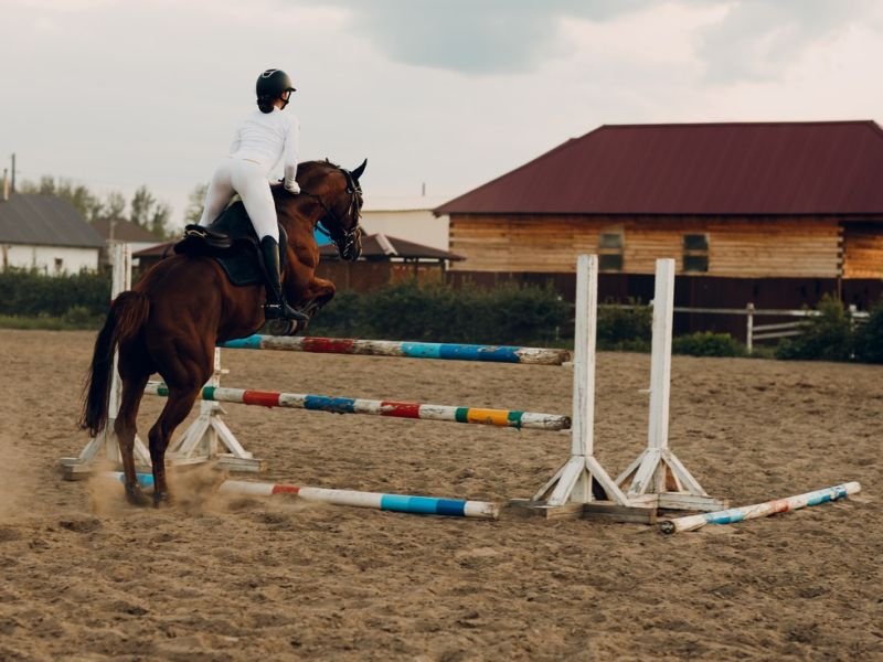 Reining: The Thrilling Combination of Precision and Athleticism in Equestrian Competitions