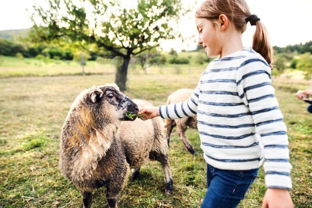 Check Out This Agricultural Heritage