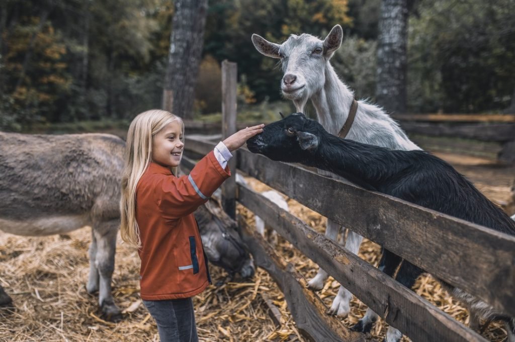 Discover The Agriculture