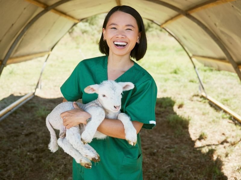 The Majesty of Farm Animals and Livestock: A Sight to Behold