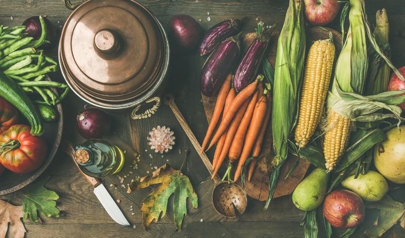 Exploring the Connection Between Food and Wellness