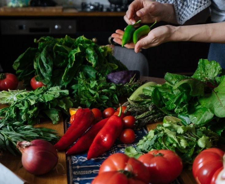 Exploring the Connection Between Food and Wellness